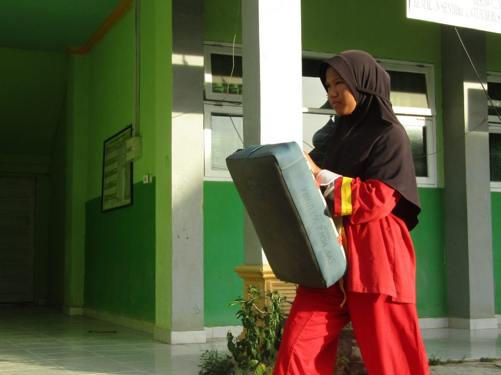 Tapak Suci