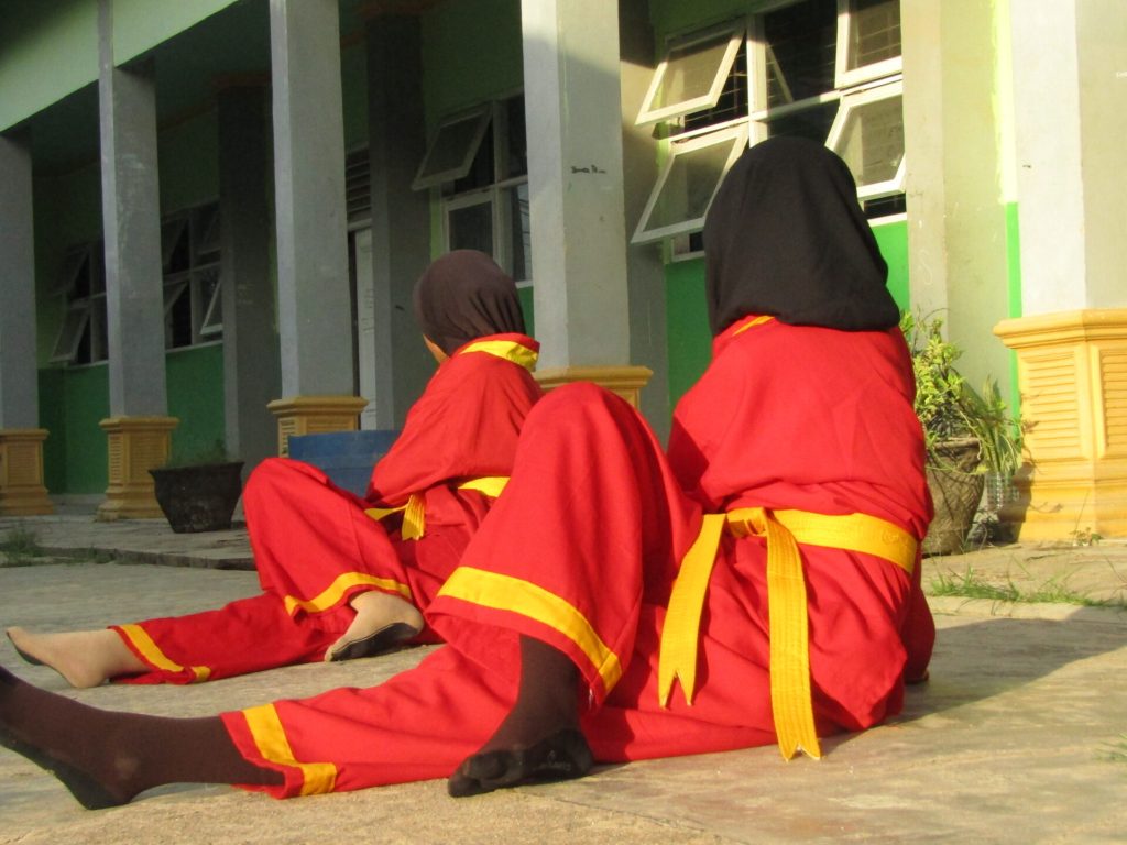 Tapak Suci